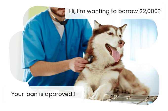 loans for veterinary bills